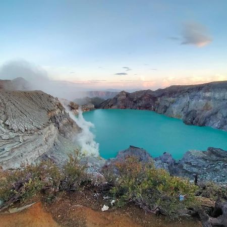 Javalindra Homestay Tour And Travel Banyuwangi  Eksteriør bilde