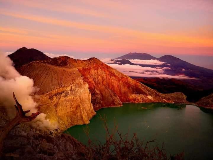 Javalindra Homestay Tour And Travel Banyuwangi  Eksteriør bilde