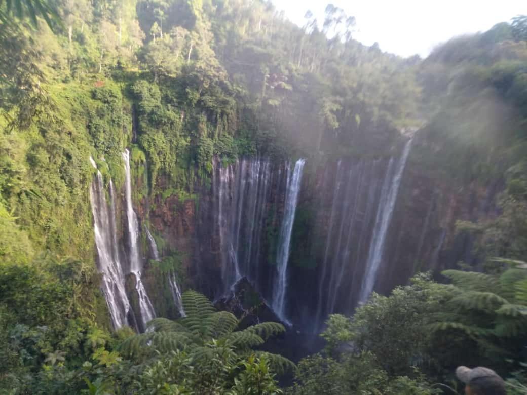 Javalindra Homestay Tour And Travel Banyuwangi  Eksteriør bilde