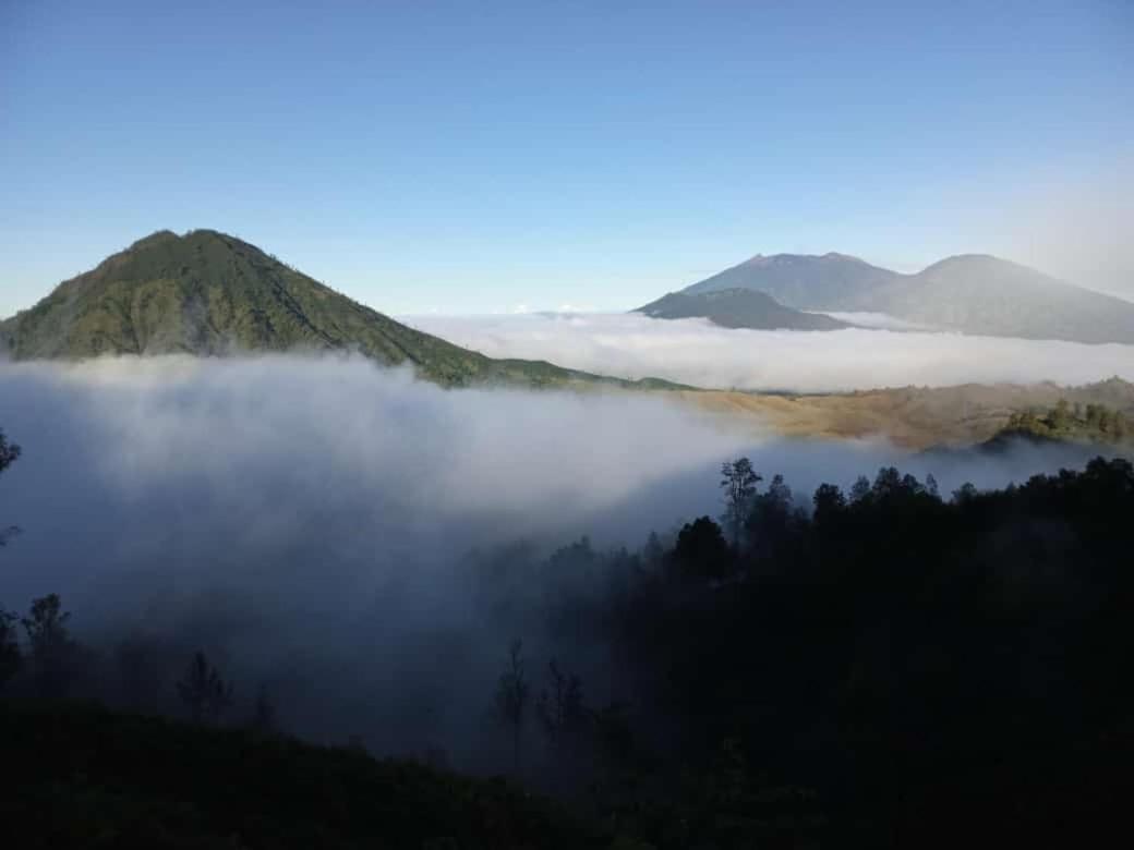 Javalindra Homestay Tour And Travel Banyuwangi  Eksteriør bilde
