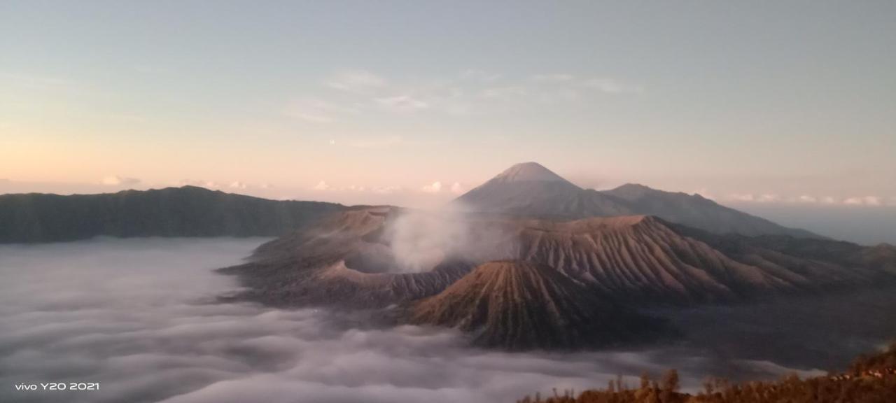 Javalindra Homestay Tour And Travel Banyuwangi  Eksteriør bilde