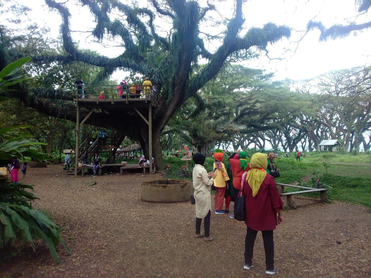 Javalindra Homestay Tour And Travel Banyuwangi  Eksteriør bilde